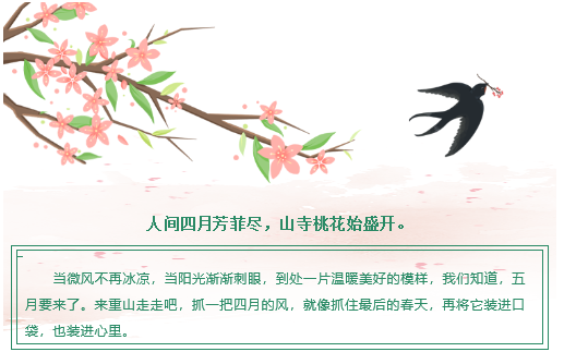 【重山影像】重山芳菲初夏近，萬物逢時(shí)皆美好